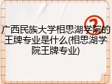 广西民族大学相思湖学院的王牌专业是什么(相思湖学院王牌专业)
