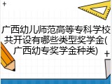 广西幼儿师范高等专科学校共开设有哪些类型奖学金(广西幼专奖学金种类)