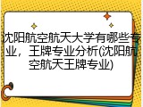 沈阳航空航天大学有哪些专业，王牌专业分析(沈阳航空航天王牌专业)