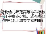 湖北幼儿师范高等专科学校一年学费多少钱，还有哪些费用(湖北幼专学费明细)