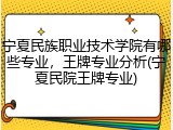 宁夏民族职业技术学院有哪些专业，王牌专业分析(宁夏民院王牌专业)