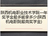 陕西机电职业技术学院一年奖学金最多能拿多少(陕西机电职院最高奖学金)