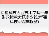 新疆科技职业技术学院一年财政拨款大概多少钱(新疆科技职院年拨款)
