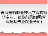 青海建筑职业技术学院有哪些专业，就业前景如何(青海建院专业就业分析)