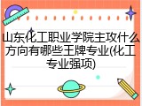 山东化工职业学院主攻什么方向有哪些王牌专业(化工专业强项)