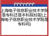 上海电子信息职业技术学院是专科还是本科院校呢(上海电子信息职业技术学院是专科吗)