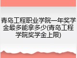 青岛工程职业学院一年奖学金最多能拿多少(青岛工程学院奖学金上限)