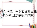 辽东学院一年财政拨款大概多少钱(辽东学院年拨款)