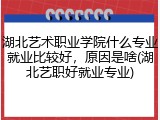 湖北艺术职业学院什么专业就业比较好，原因是啥(湖北艺职好就业专业)