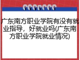 广东南方职业学院有没有就业指导，好就业吗(广东南方职业学院就业情况)