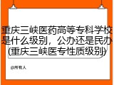 重庆三峡医药高等专科学校是什么级别，公办还是民办(重庆三峡医专性质级别)
