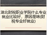 湖北财税职业学院什么专业就业比较好，原因是啥(财税专业好就业)