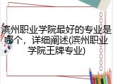 滨州职业学院最好的专业是哪个，详细阐述(滨州职业学院王牌专业)