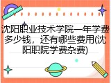 沈阳职业技术学院一年学费多少钱，还有哪些费用(沈阳职院学费杂费)