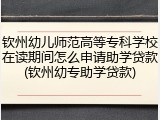 钦州幼儿师范高等专科学校在读期间怎么申请助学贷款(钦州幼专助学贷款)