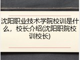 沈阳职业技术学院校训是什么，校长介绍(沈阳职院校训校长)