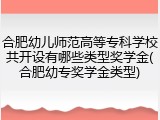 合肥幼儿师范高等专科学校共开设有哪些类型奖学金(合肥幼专奖学金类型)
