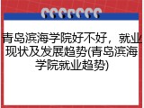 青岛滨海学院好不好，就业现状及发展趋势(青岛滨海学院就业趋势)