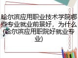哈尔滨应用职业技术学院哪些专业就业前景好，为什么(哈尔滨应用职院好就业专业)