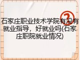 石家庄职业技术学院有没有就业指导，好就业吗(石家庄职院就业情况)