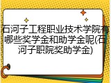 石河子工程职业技术学院有哪些奖学金和助学金呢(石河子职院奖助学金)
