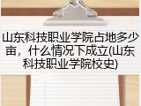 山东科技职业学院占地多少亩，什么情况下成立(山东科技职业学院校史)