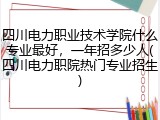 四川电力职业技术学院什么专业最好，一年招多少人(四川电力职院热门专业招生)