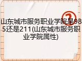 山东城市服务职业学院是985还是211(山东城市服务职业学院属性)