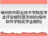 福州软件职业技术学院奖学金评定细则是怎样的(福州软件学院奖学金细则)