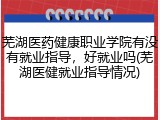芜湖医药健康职业学院有没有就业指导，好就业吗(芜湖医健就业指导情况)