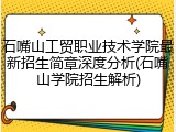 石嘴山工贸职业技术学院最新招生简章深度分析(石嘴山学院招生解析)