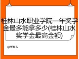 桂林山水职业学院一年奖学金最多能拿多少(桂林山水奖学金最高金额)