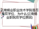 云南锡业职业技术学院是否有双学位，为什么(云南锡业职院双学位原因)