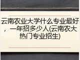 云南农业大学什么专业最好，一年招多少人(云南农大热门专业招生)