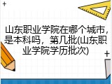 山东职业学院在哪个城市，是本科吗，第几批(山东职业学院学历批次)