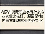内蒙古能源职业学院什么专业就业比较好，原因是啥(内蒙古能源就业优势专业)