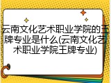 云南文化艺术职业学院的王牌专业是什么(云南文化艺术职业学院王牌专业)