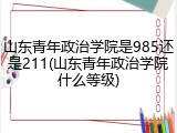 山东青年政治学院是985还是211(山东青年政治学院什么等级)