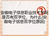 安徽电子信息职业技术学院是否有双学位，为什么(安徽电子信息双学位原因)