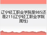 辽宁轻工职业学院是985还是211(辽宁轻工职业学院属性)