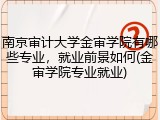 南京审计大学金审学院有哪些专业，就业前景如何(金审学院专业就业)