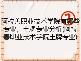 阿拉善职业技术学院有哪些专业，王牌专业分析(阿拉善职业技术学院王牌专业)