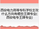 西安电力高等专科学校主攻什么方向有哪些王牌专业(西安电专王牌专业)