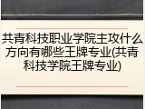 共青科技职业学院主攻什么方向有哪些王牌专业(共青科技学院王牌专业)