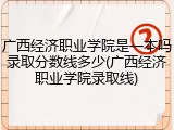 广西经济职业学院是一本吗录取分数线多少(广西经济职业学院录取线)