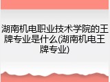 湖南机电职业技术学院的王牌专业是什么(湖南机电王牌专业)