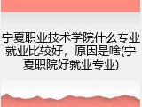 宁夏职业技术学院什么专业就业比较好，原因是啥(宁夏职院好就业专业)