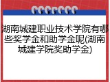 湖南城建职业技术学院有哪些奖学金和助学金呢(湖南城建学院奖助学金)