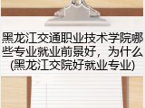 黑龙江交通职业技术学院哪些专业就业前景好，为什么(黑龙江交院好就业专业)