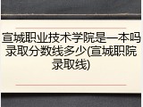 宣城职业技术学院是一本吗录取分数线多少(宣城职院录取线)